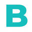 Bush Marketing logo