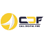 Call Digital Fire LLP logo