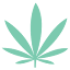 CannaSiteCo. logo