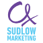 Carrie-ann Sudlow Consultancy Limited logo