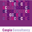 Caspia Consultancy logo