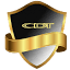 Canadian Development Technology logo