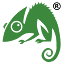 Chameleon Web Services logo
