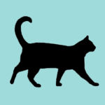 Cheshire Digital Marketing logo