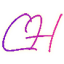 Chris Holmes, BDM logo