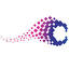 Chromacor logo
