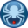 Clever Spider Consulting Group logo