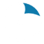 Codea Technologies Inc. Qatar logo