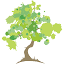 Cold Spring Design, Inc. logo
