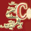 Computaid logo