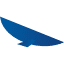 Condor Digital Services LLC logo
