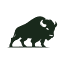 CoolBison logo