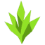 CoralWeb logo
