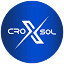 Croxsol Technologies logo