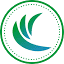 Cybona Web Design & Development logo