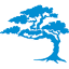 Cypress Digital Media logo