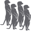 Dayvo Sistemas logo