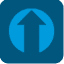 DDSRank logo