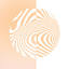 Develio logo