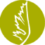 dezinsINTERACTIVE logo