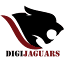 Digijaguars Pvt Ltd logo