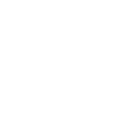 Digiops 360 logo