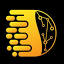 DigiSurf Agency logo