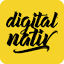 Digital Nativ GmbH logo