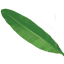 Digital Copywriting logo