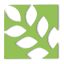 Digital Harvest logo