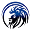 Digital Kings Networking, LLC logo