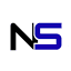 Digital Nasir Siddiqui logo