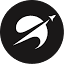 Digital Pilot logo