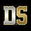 Digital Specialist Co. logo