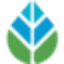 Digital Sprout logo