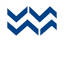 Digital Surf Brisbane logo
