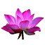 Digital Win Business Agency logo