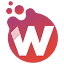 Digital Wise Fz Llc logo