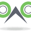 Digital Wizards Solutions Llc logo