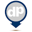 Direct Placement logo