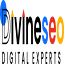 Divine SEO Services logo