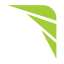 Digital Limelight Media logo