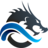 Dragon Internet Marketing logo