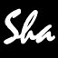 Dubai Sha web Design logo