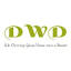 Dublin Web Design logo