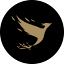 Elirius logo