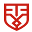 Elyra Consulting logo