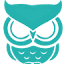 Epic Owl logo