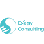 Exegy Consulting logo