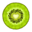 Fresh Vision logo